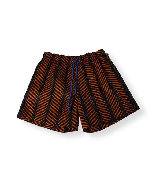 Le Tigre